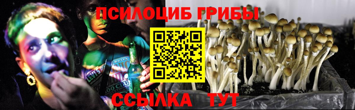 Псилоцибиновые грибы Magic Shrooms  Вход с VPN  Псилоцибиновые грибы мицелий  Чернушка 